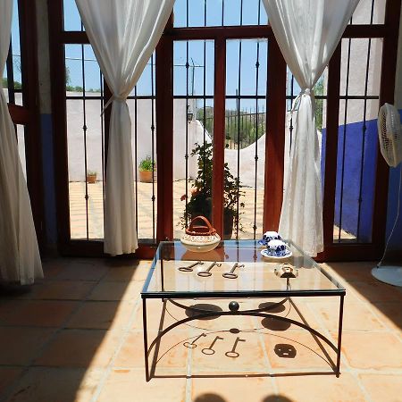Отель Casa Erizo 39 (Adults Only) Гуанахуато Экстерьер фото