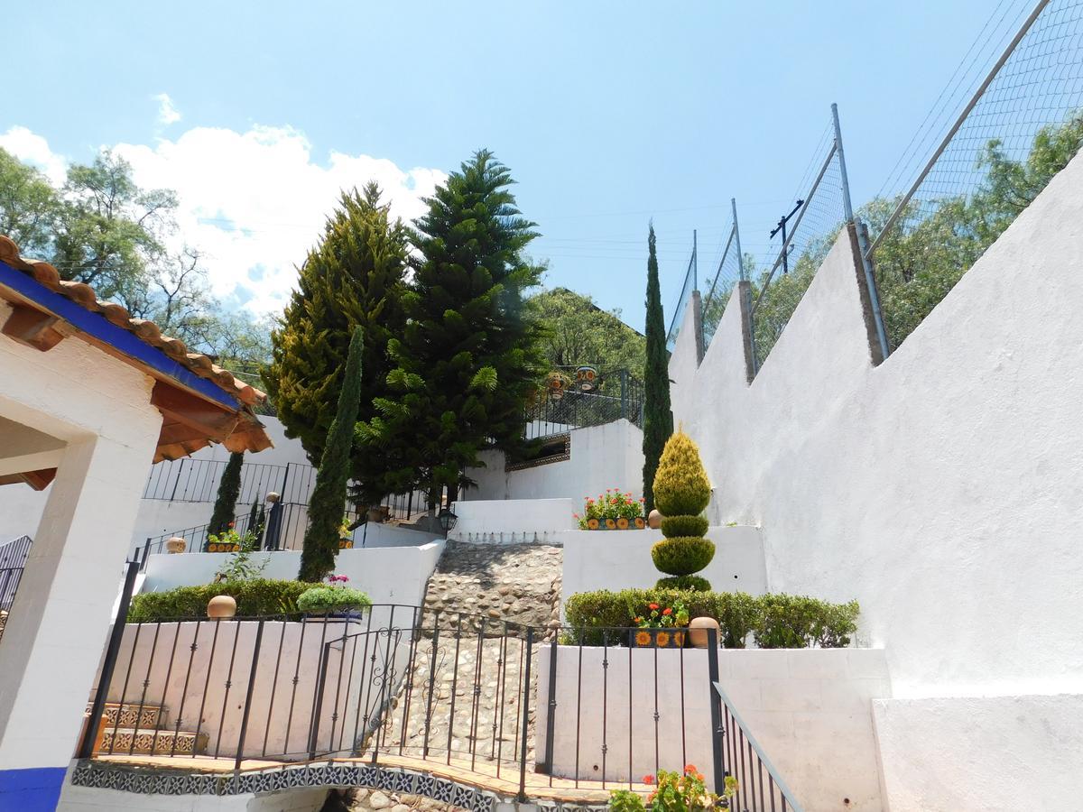 Отель Casa Erizo 39 (Adults Only) Гуанахуато Экстерьер фото