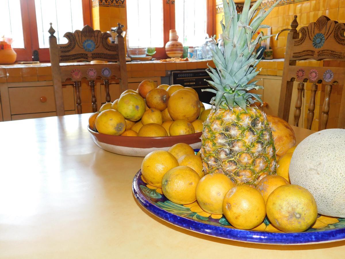 Отель Casa Erizo 39 (Adults Only) Гуанахуато Экстерьер фото